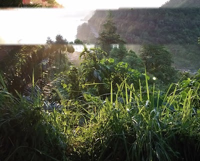 Photos of Jambo Hatta
