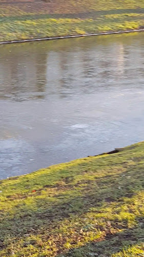 Beoordelingen van Alina Kledingreparatie in Rotterdam - Kledingreparatie
