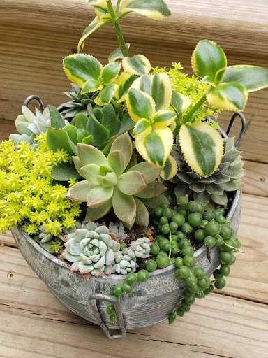 Kay-Dee's Gardens - Thumbnail