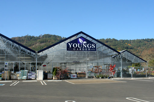 Young's Garden