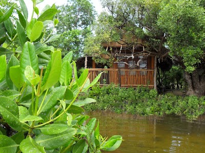 Photos of Tranquility Coral Cottages