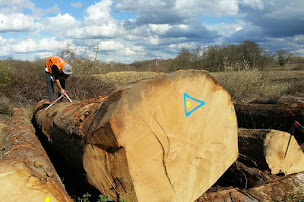 Photo n°2 de ALLIANCE Forêts Bois à Saint-Pierre-du-Mont (Exploitation forestière)