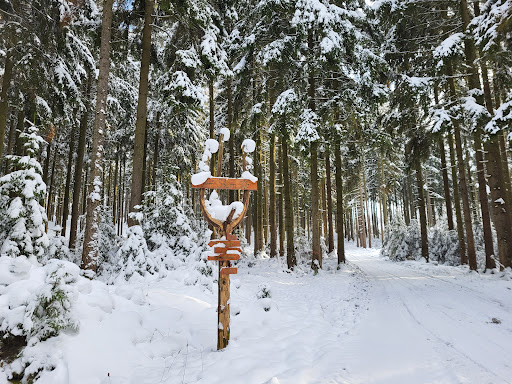 Waldkreuzung "Stern"