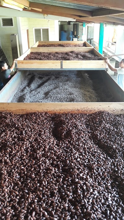 Photos of Chocolats Halba