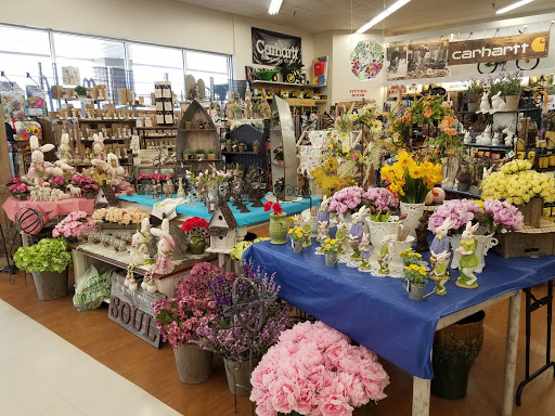 Pennsburg Ace Hardware - Thumbnail