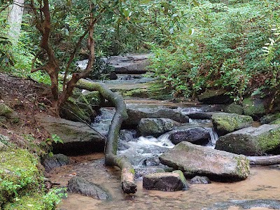 Poinsett Bridge