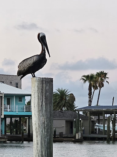Port Aransas Texas - Thumbnail
