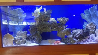 Photos of St. Vincent's Medical Center Riverside