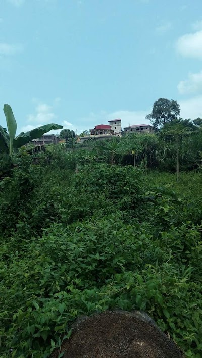 Photos of Odza Cameroun
