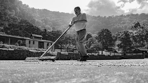site_photo4