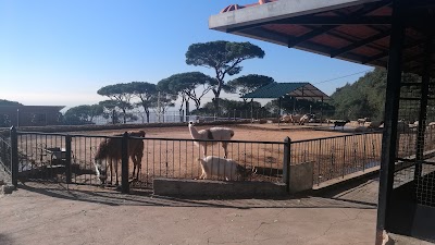 Photos of Ferme Mar Chaaya
