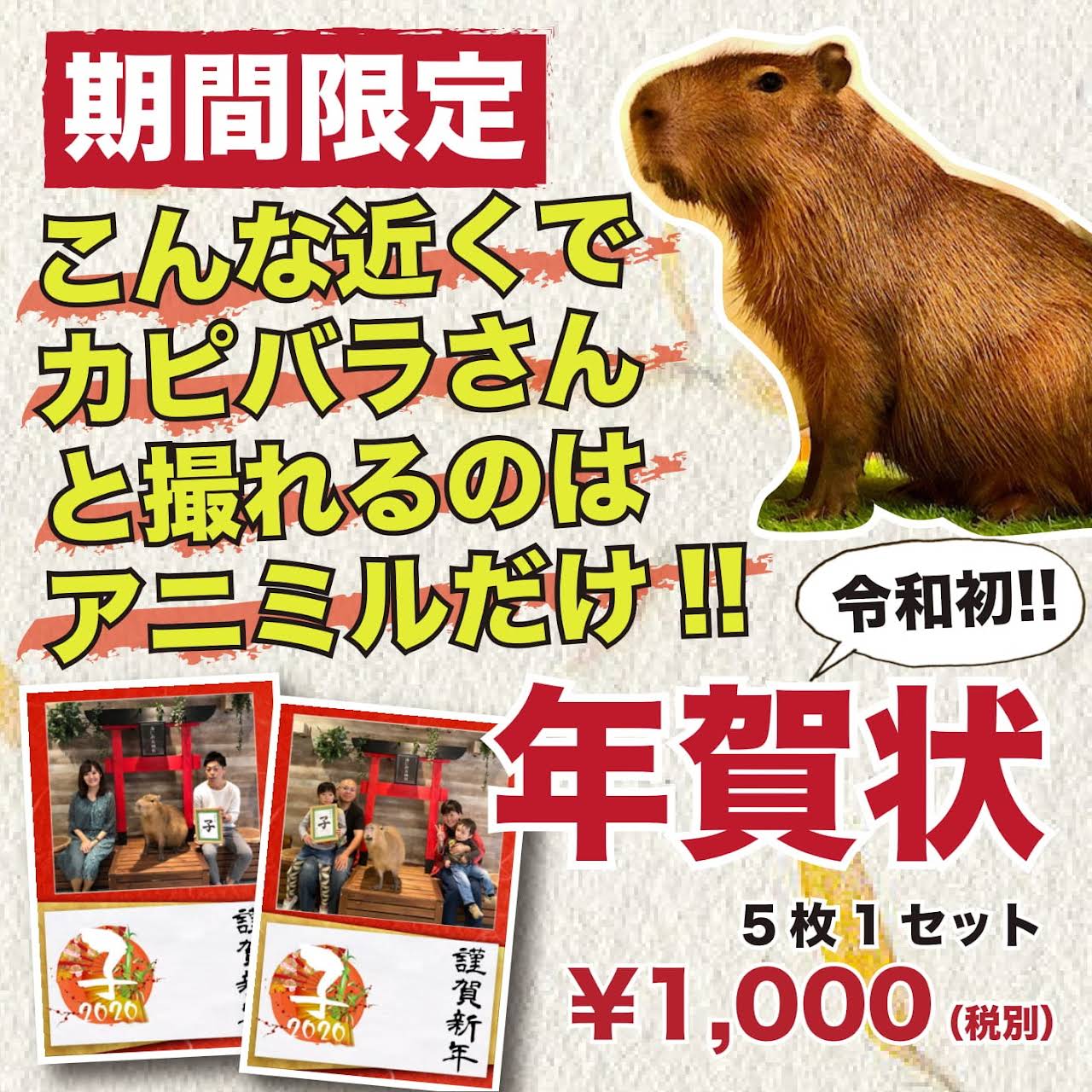 動物たちが暮らす森のカフェ アニミル 動物とふれあえる体験施設 動物カフェ 動物園でもなくカフェでもない 今までになかった非日常空間 アニミル