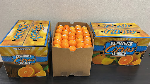 Kingdom Cold Storage - Visual