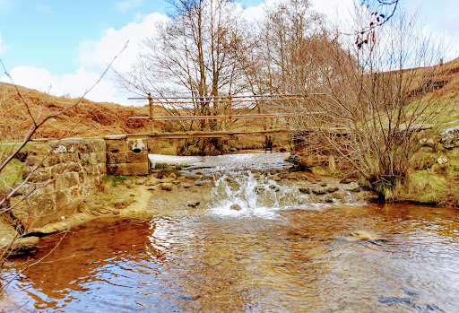 Sheepwash - Visual