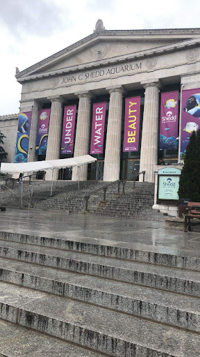 Taurus travitude - Visual