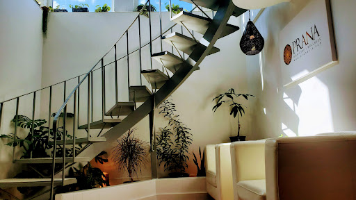 Prana Wellness - Visual