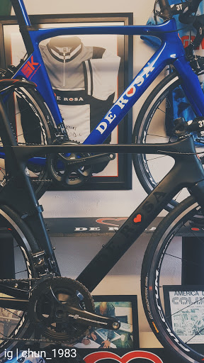 Forza Cycles - Visual