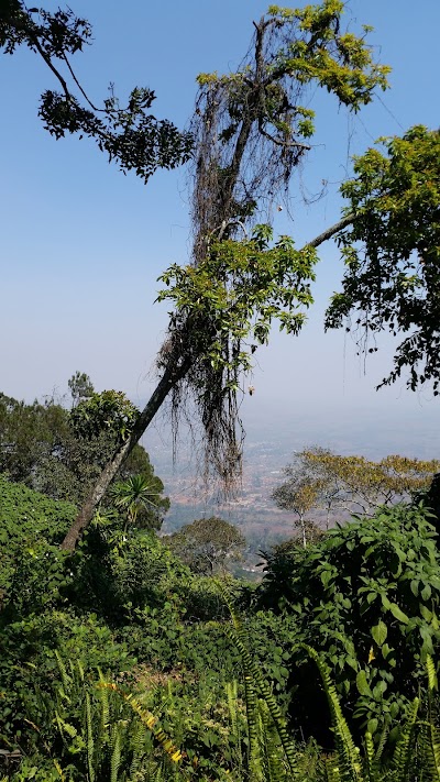Photos of Zomba Plateau