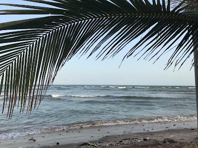 Photos of Prambeach Resort