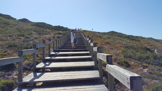Praia da Amoreira