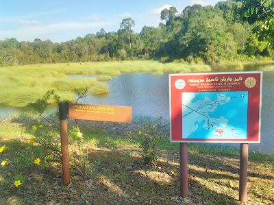 Photos of Lake Merimbun