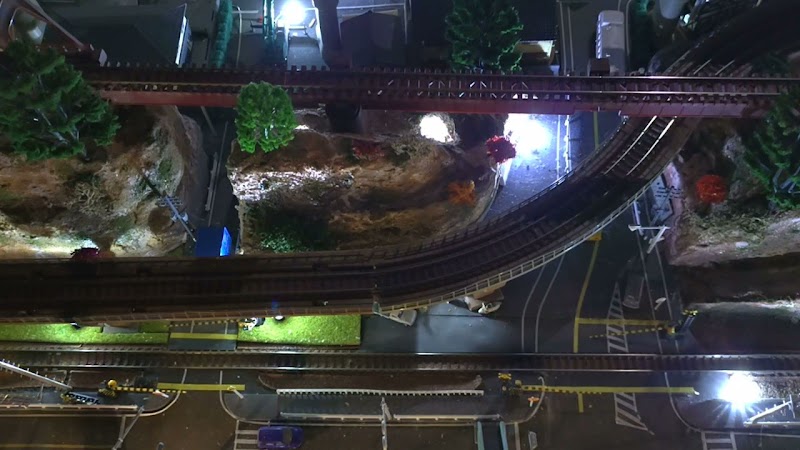 ワイルドフラワー