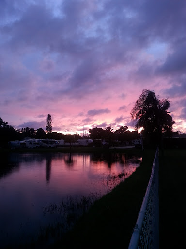 Florida Pines Mobile Home Ct - Thumbnail