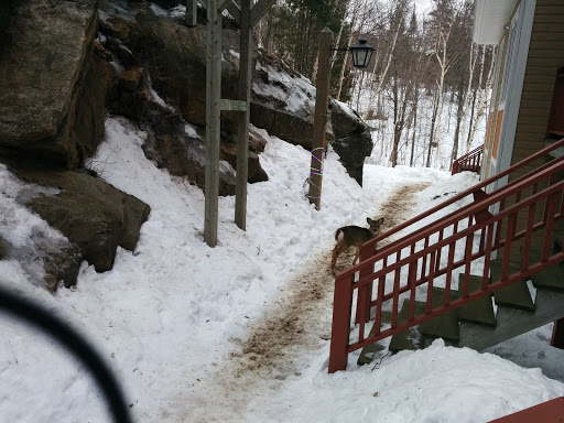 Mont Tremblant Chalet Rentals - Thumbnail