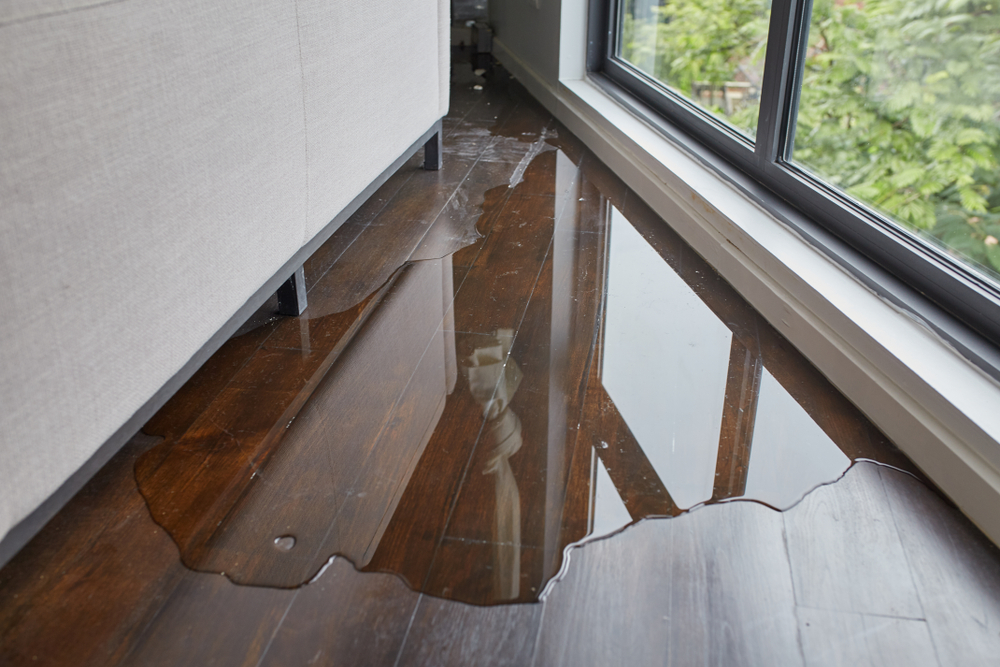 All Friendswood Damage Restoration Pro photo