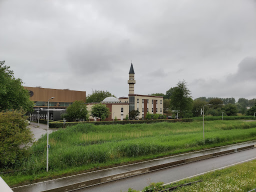 Mosque Sultan Ahmed Gallery - Netherlands