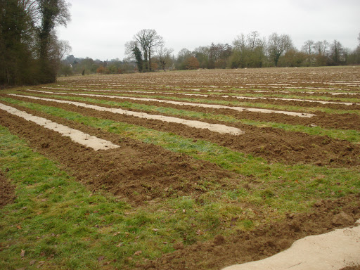 Photo de Duboscq Paysages (SARL) à Cerisy-la-Salle (50210)