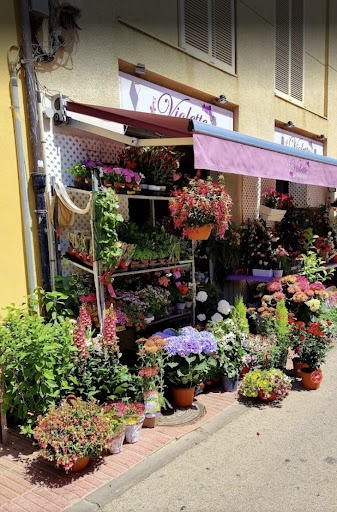 Floristeria Violette