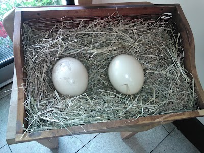 Photos of Kildare Farm Foods, Open Farm & Shop