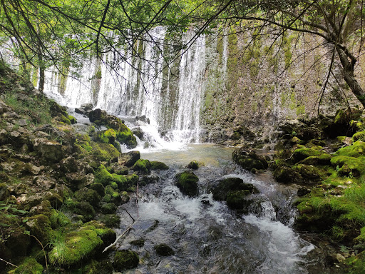 Zirauntza Errekaren Iturburua