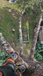 Photo n°35 de Amie Lek à Lège-Cap-Ferret (Forêt nationale)