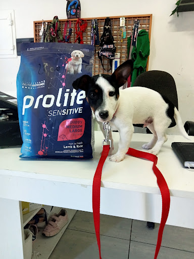 Io&marley Petshop e Toelettatura