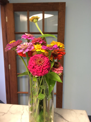 Conley Family Dentistry - Thumbnail