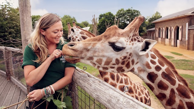 Zoo de Londres