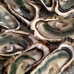 Photo n°51 de Nathalie Delatouche à Chambon (Hébergement)