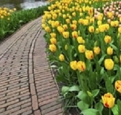 Luigi Mazzoleni Giardini - Thumbnail