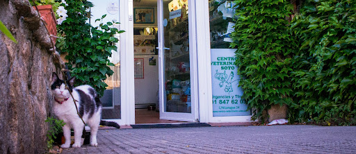 Soto Veterinary Center
