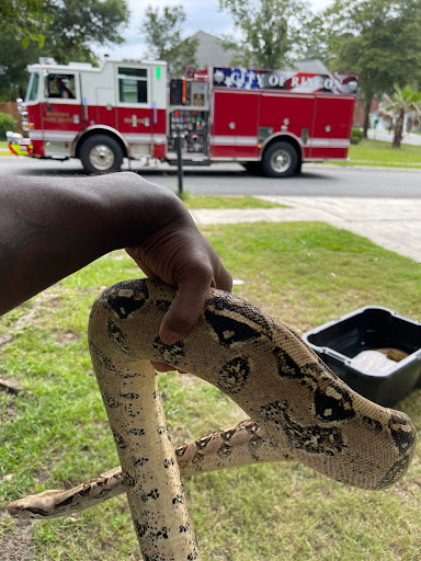 Rincon Fire Department Station 1 - Thumbnail