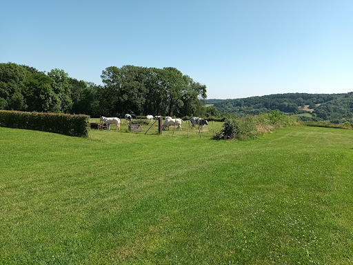 Camping "Welkom" - Thumbnail