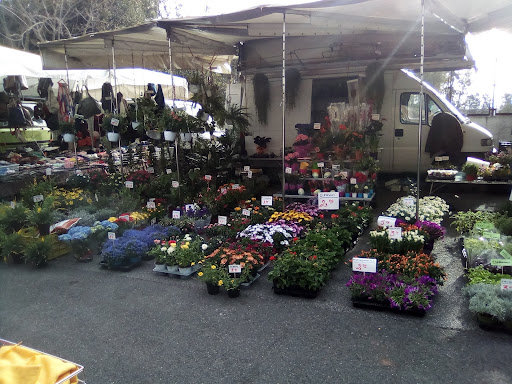 gruppo banco dè fiori