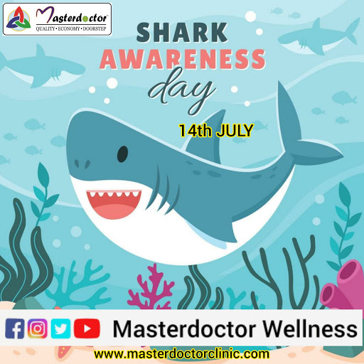 Like top predators in any ecosystem, sharks play an essential role in keeping the seas healthy an… post image