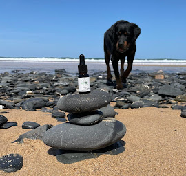 Photo n°28 de CBD Bicyclette - Paris 20 Jourdain à Paris (Magasin de thé)