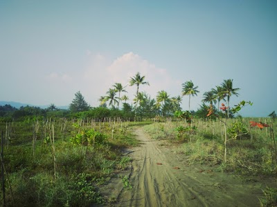 Photos of Warung Engkas