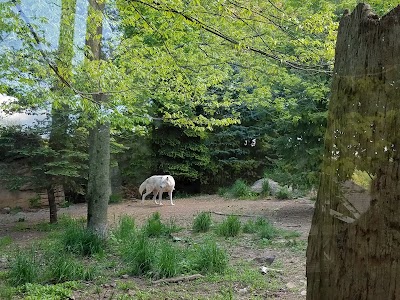 Photos of Zoological Society of NJ