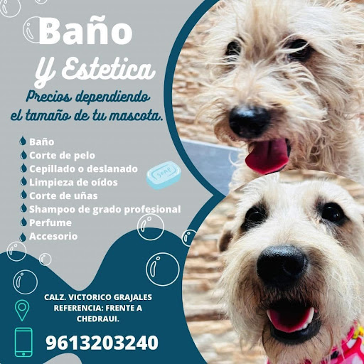 Servicios Veterinarios León