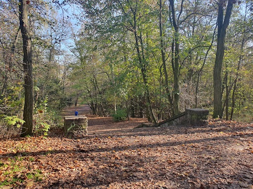 Volkspark Schönholzer Heide - Thumbnail